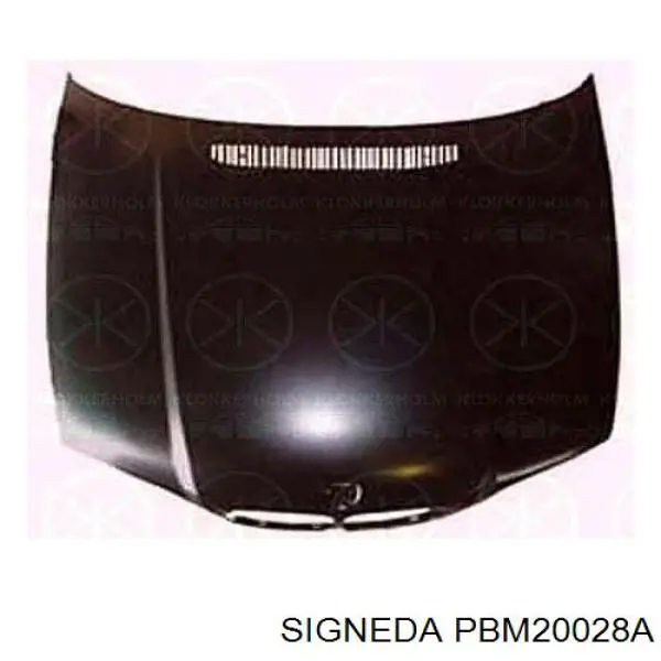 PBM20028A Signeda Капот