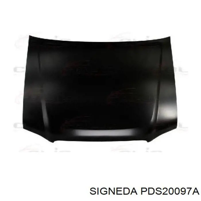 PDS20097A Signeda Капот