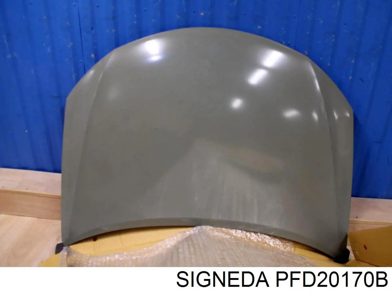Купити PFD20170B Signeda Капот