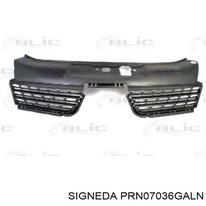 Облицювання радіатора FPS FP5648991 ціна, від 8.56 USD