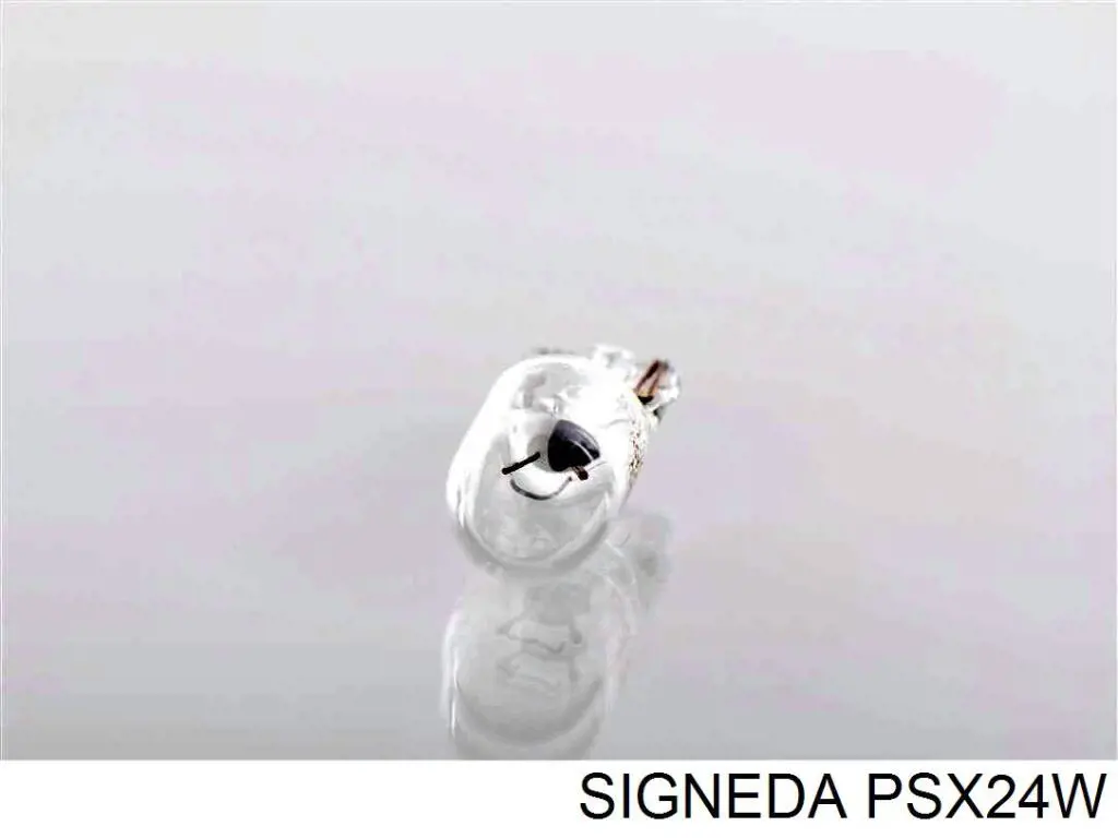 PSX24W Signeda 