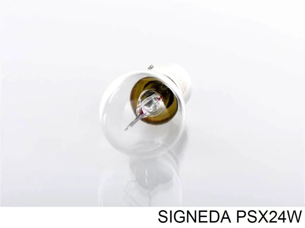  PSX24W Signeda