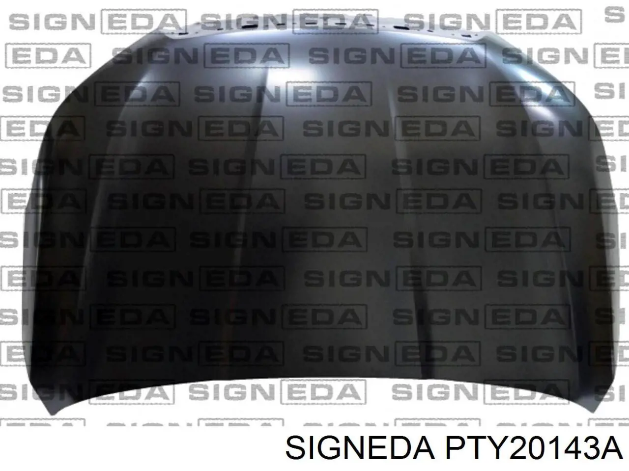 Капот PTY20143A Signeda