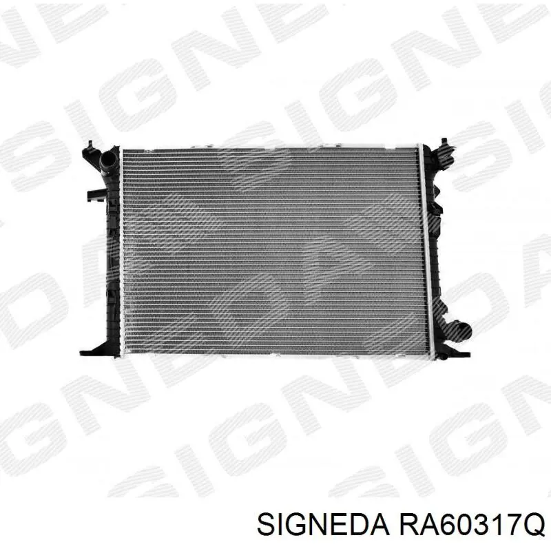 RA60317Q Signeda 