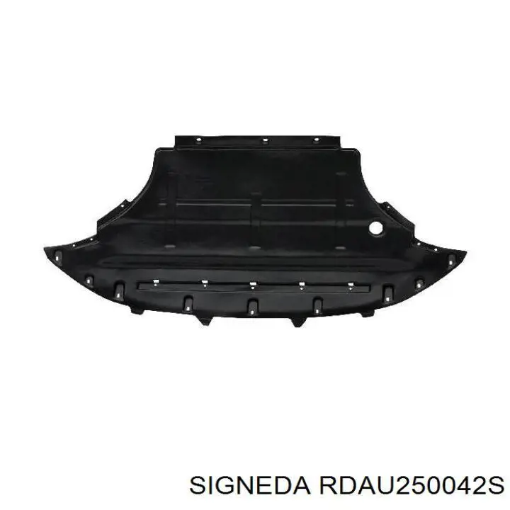 RDAU250042S Signeda Облицювання рамки радіатора