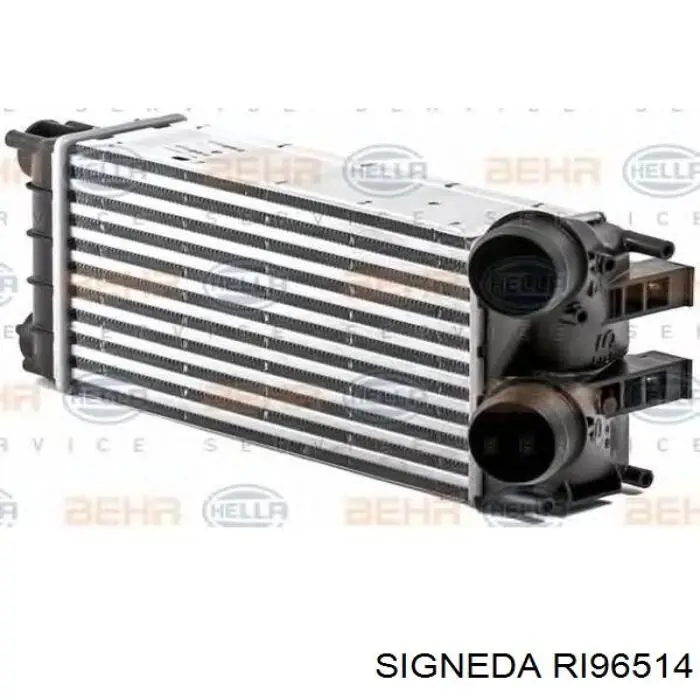 Інтеркулер RI96514 Signeda