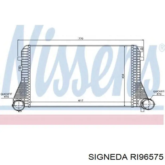 Інтеркулер RI96575 Signeda