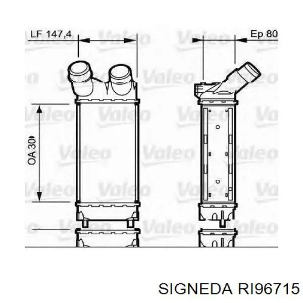 Інтеркулер RI96715 Signeda