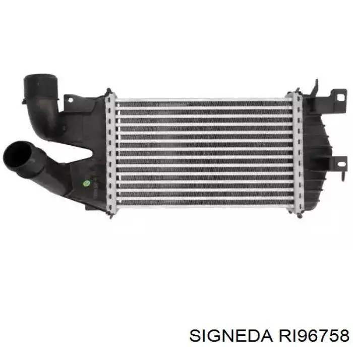 Інтеркулер RI96758 Signeda