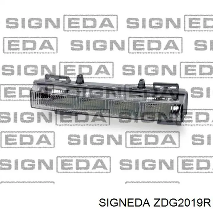 Фара протитуманна, права ZDG2019R Signeda