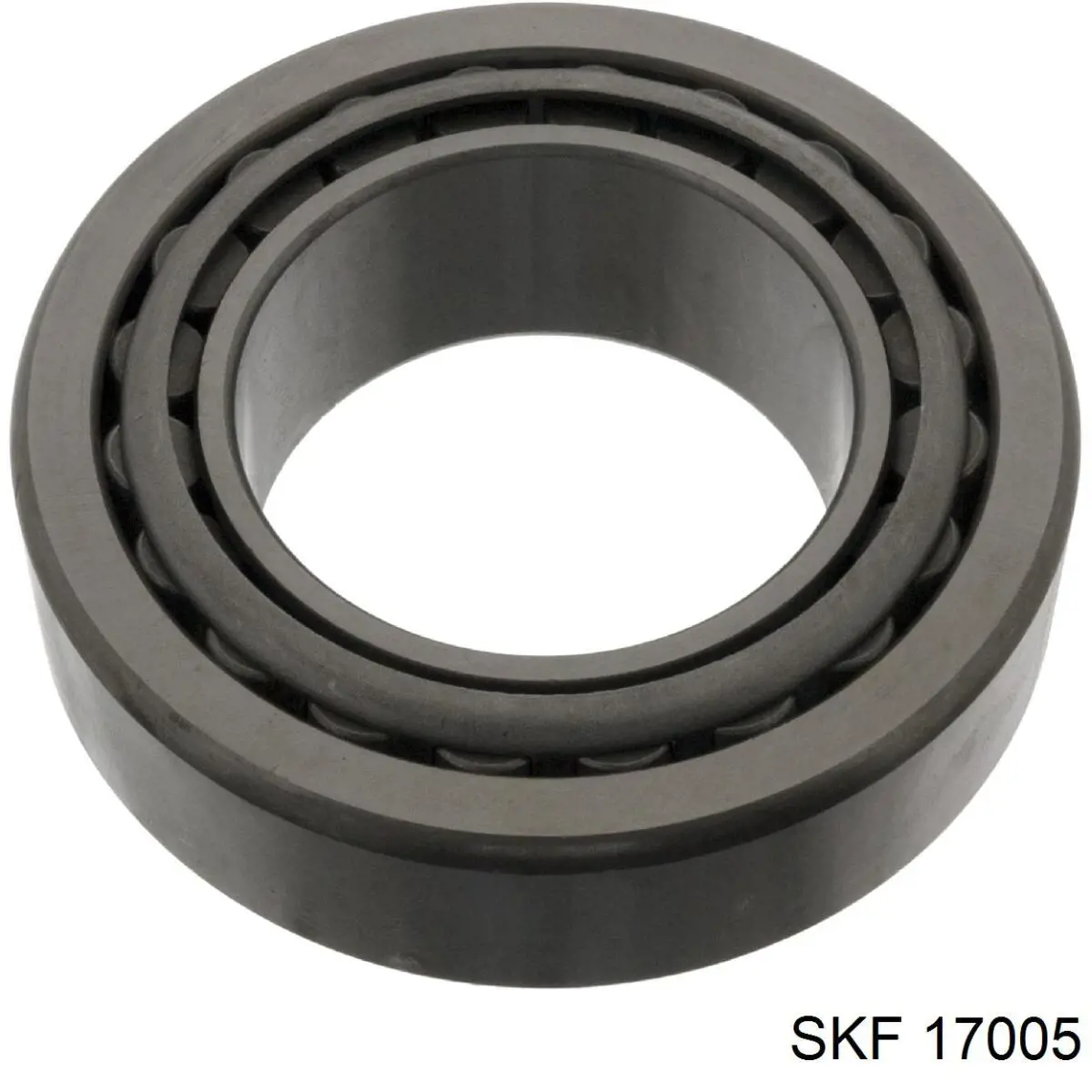  17005 SKF