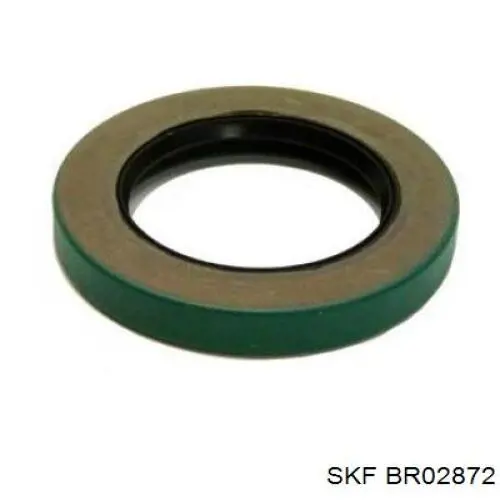 BR02872 SKF Обойма зовнішнього підшипника хвостовика