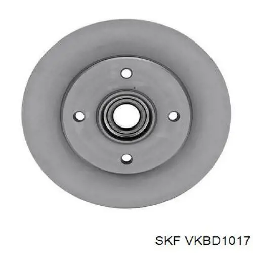 Задні дискові гальма SKF VKBD1017 ціна, від 97.89 USD