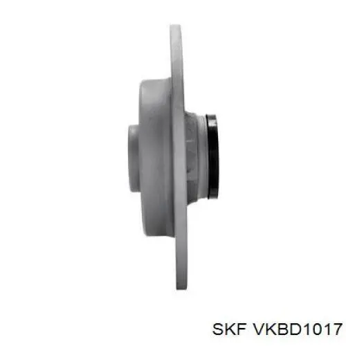 Купити VKBD1017 SKF Диск заднього гальма
