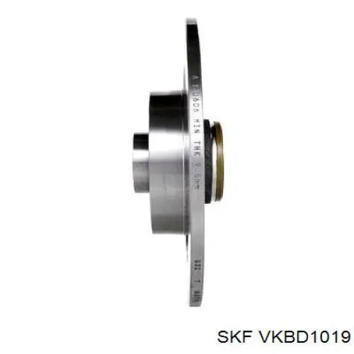 Купити VKBD1019 SKF Диск заднього гальма