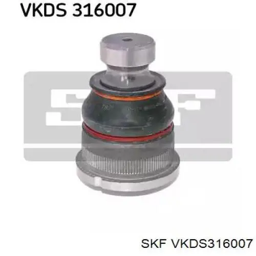 VKDS316007 SKF Кульові на авто