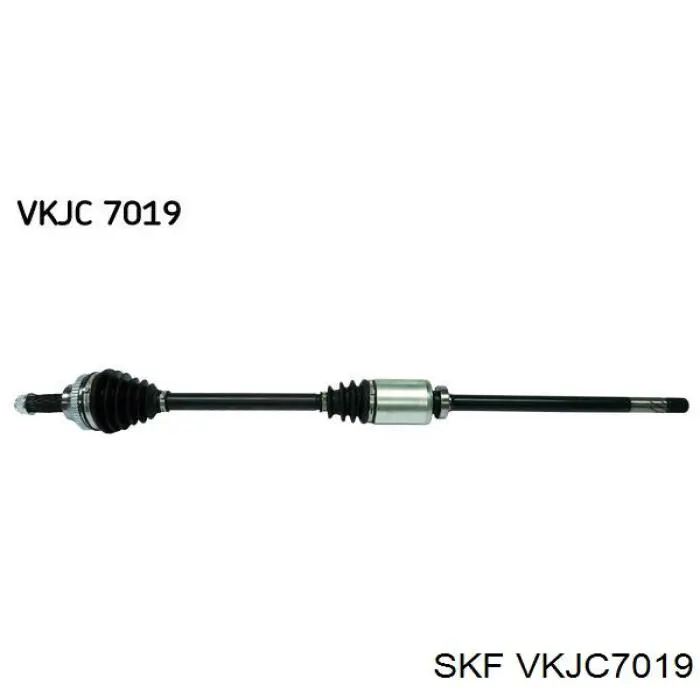 Купити VKJC7019 SKF Піввісь права