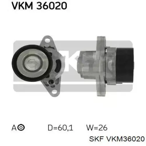 VKM36020 SKF натягувач приводного ременя