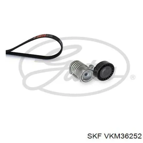 Натягувач приводного ременя SKF VKM36252 ціна, від 53.21 USD