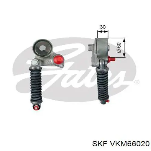 Купити VKM66020 SKF Натягувач приводного ременя