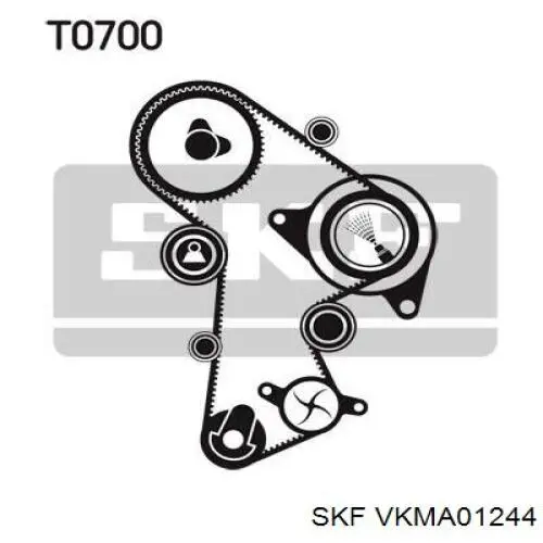 Купити VKMA01244 SKF ГРМ ремень
