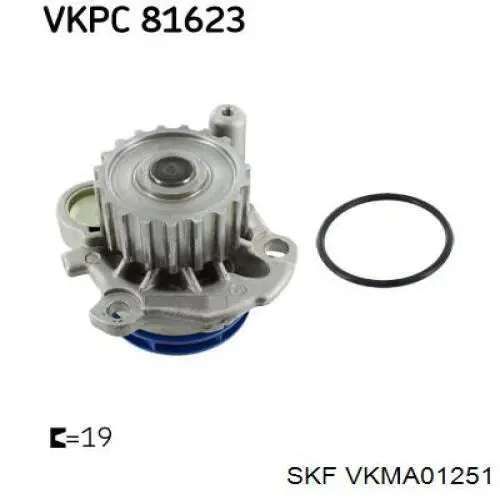 Комплект ГРМ SKF VKMA01251 ціна, від 125.73 USD