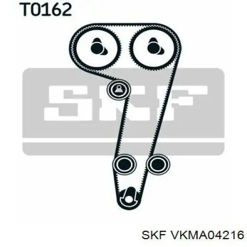 Купити VKMA04216 SKF ГРМ ремень