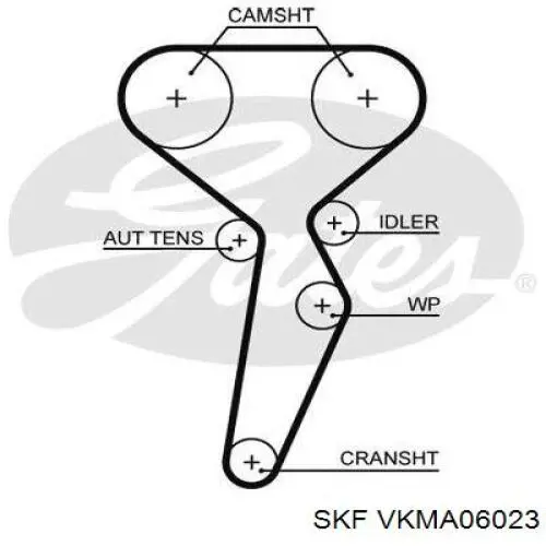 Комплект ГРМ VKMA06023 SKF
