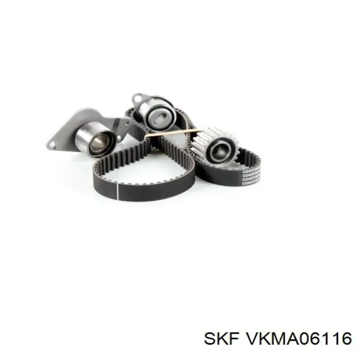 VKMA06116 SKF Ремінь ГРМ, комплект