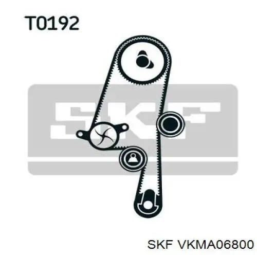 Комплект ГРМ VKMA06800 SKF