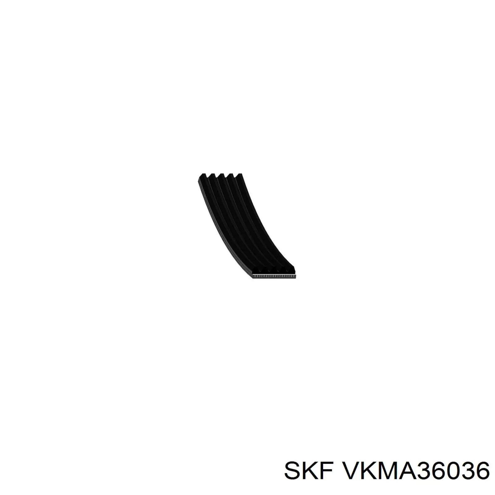 VKMA36036 SKF ремінь приводний, агрегатів, комплект