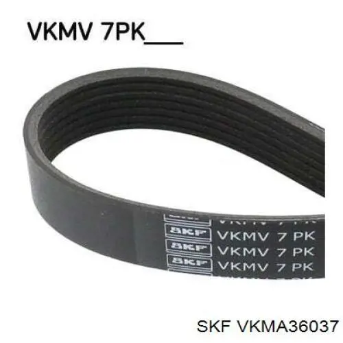 Ремінь приводний, агрегатів, комплект VKMA36037 SKF