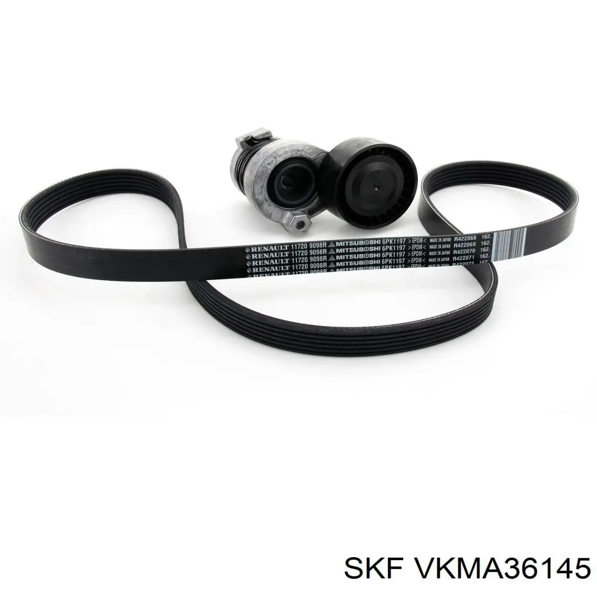 Купити VKMA36145 SKF Ремінь приводний, агрегатів, комплект