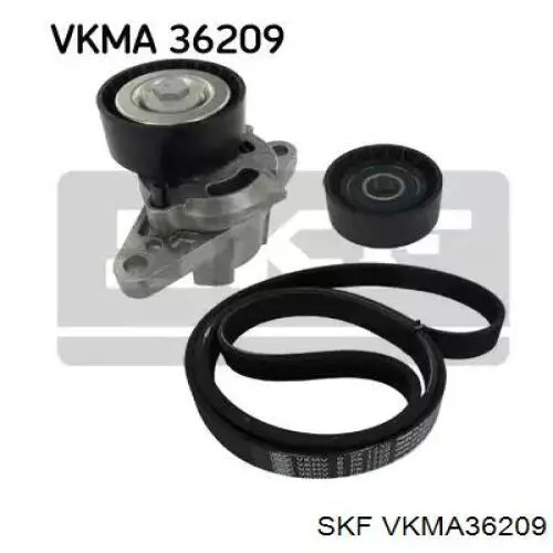 VKMA36209 SKF ремінь приводний, агрегатів, комплект