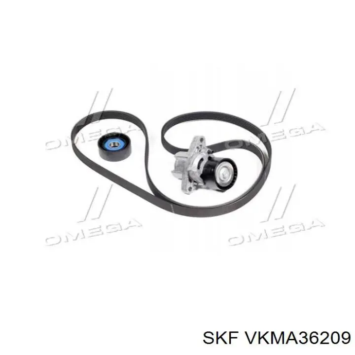 Купити VKMA36209 SKF Ремінь приводний, агрегатів, комплект