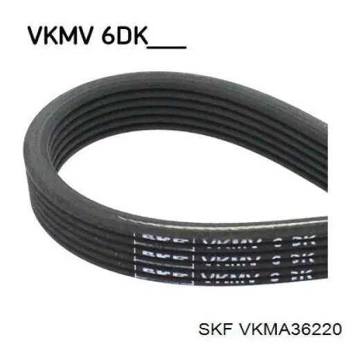 VKMA36220 SKF Ремінь приводний, агрегатів, комплект