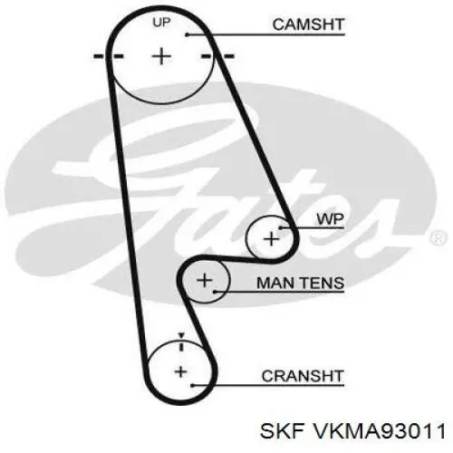 Комплект ГРМ VKMA93011 SKF