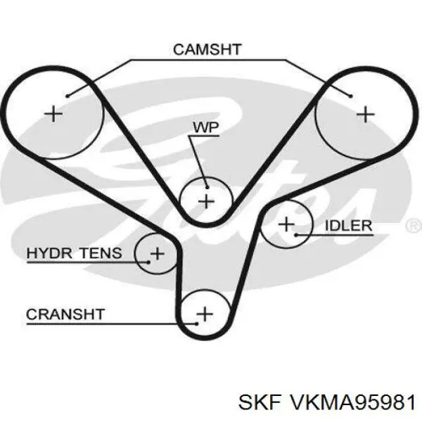 Комплект ГРМ VKMA95981 SKF