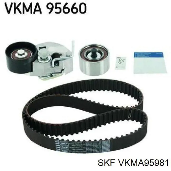 Купити VKMA95981 SKF ГРМ ремень