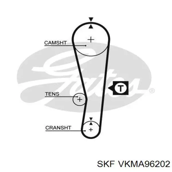 Комплект ГРМ VKMA96202 SKF