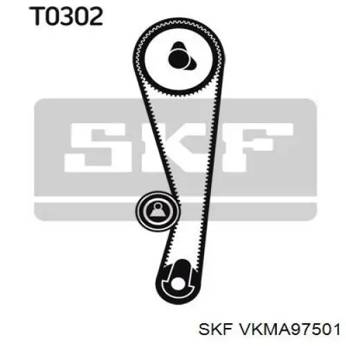 VKMA97501 SKF Ремінь ГРМ, комплект