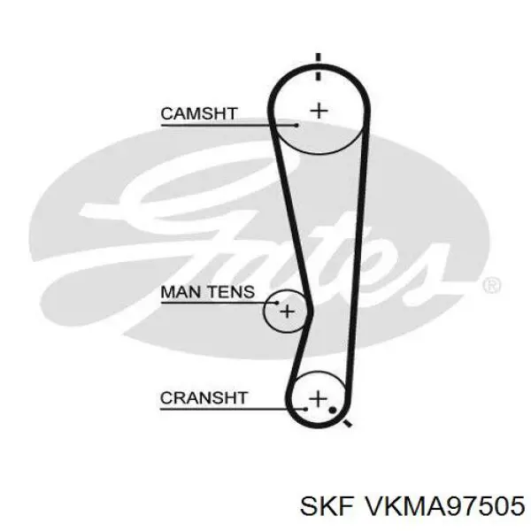 Комплект ГРМ VKMA97505 SKF
