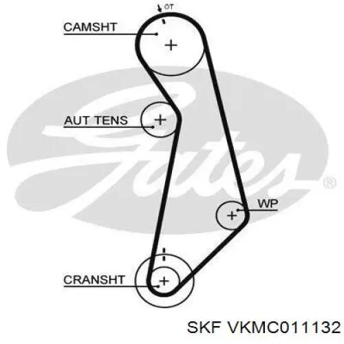 Купити VKMC011132 SKF ГРМ ремень