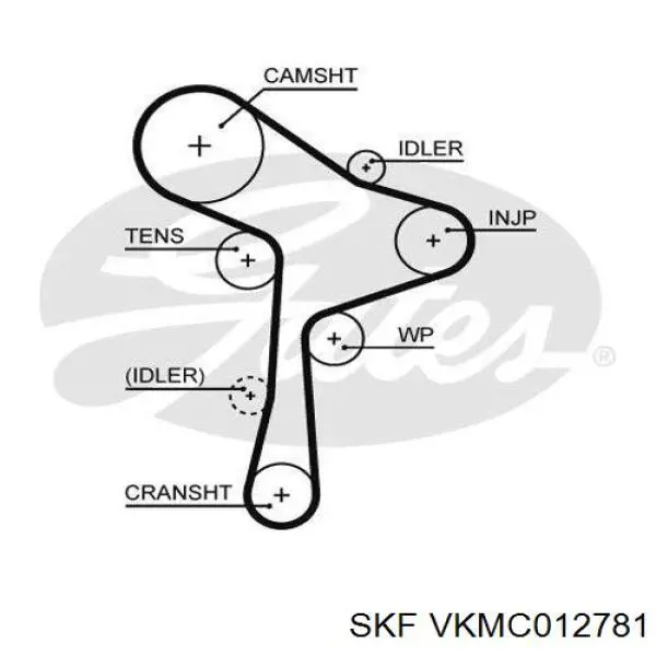 Комплект ГРМ SKF VKMC012781 ціна, від 155.37 USD