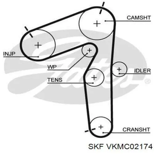 VKMC02174 SKF комплект грм