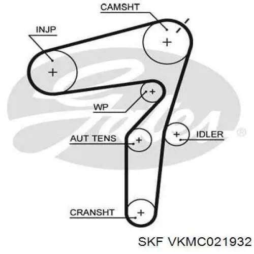 Купити VKMC021932 SKF ГРМ ремень