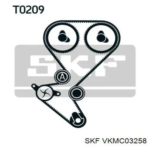 VKMC03258 SKF комплект грм