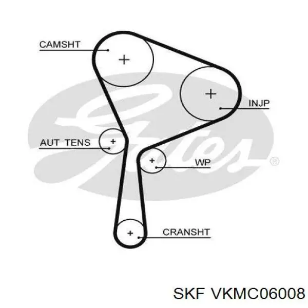 Комплект ГРМ SKF VKMC06008 ціна, від 123.69 USD