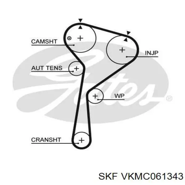 Комплект ГРМ VKMC061343 SKF