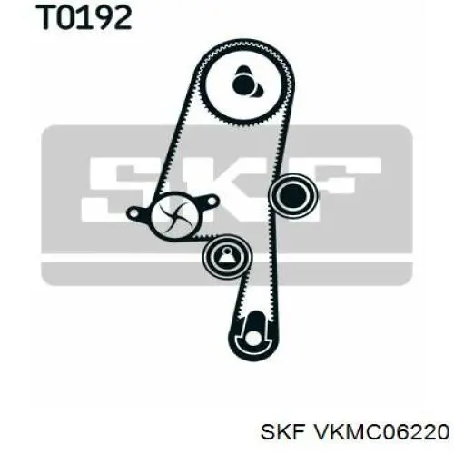 VKMC06220 SKF комплект грм